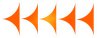 bob官方网站登录入口